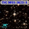 TYC 9031-3623-1