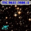 TYC 9031-3800-1