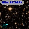 LEDA 3079929