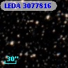 LEDA 3077816