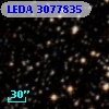 LEDA 3077835