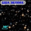 LEDA 3079988