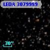 LEDA 3079989
