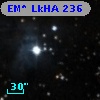 EM* LkHA  236