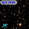NSV  7870