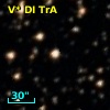 V* DI TrA