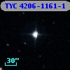 TYC 4206-1161-1