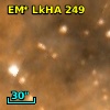 EM* LkHA  249