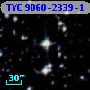 TYC 9060-2339-1
