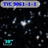 TYC 9061-1-1