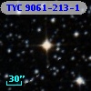 TYC 9061-213-1