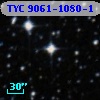 TYC 9061-1080-1