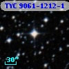 TYC 9061-1212-1