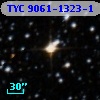 TYC 9061-1323-1