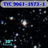 TYC 9061-1873-1