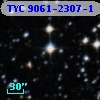 TYC 9061-2307-1
