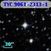 TYC 9061-2313-1
