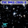 TYC 9061-2958-1