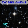 TYC 9061-3493-1