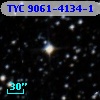 TYC 9061-4134-1