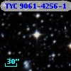 TYC 9061-4256-1