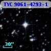 TYC 9061-4293-1