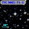 TYC 9065-71-1