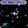 TYC 9065-333-1