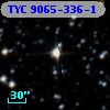 TYC 9065-336-1