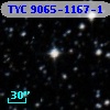 TYC 9065-1167-1