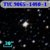 TYC 9065-1480-1