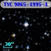 TYC 9065-1995-1