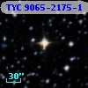 TYC 9065-2175-1