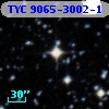 TYC 9065-3002-1