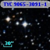 TYC 9065-3091-1