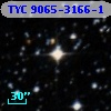 TYC 9065-3166-1