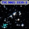 TYC 9065-3339-1