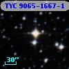 TYC 9065-1667-1