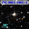TYC 9061-1965-1