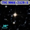 TYC 9066-2129-1