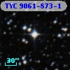 TYC 9061-873-1