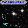 TYC 9061-891-1
