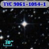TYC 9061-1084-1