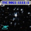 TYC 9061-1111-1