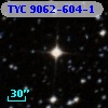 TYC 9062-604-1