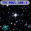 TYC 9065-100-1