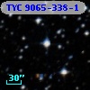 TYC 9065-338-1