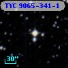 TYC 9065-341-1