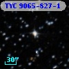 TYC 9065-827-1