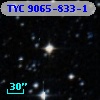 TYC 9065-833-1